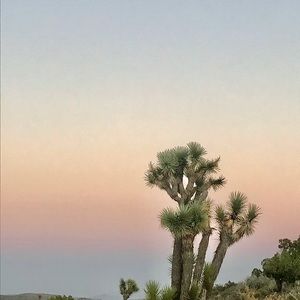 Meet your Posher, Sooyoung